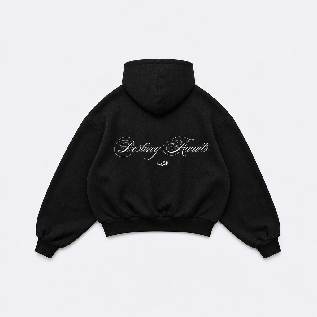 Destiny Hoodie Black