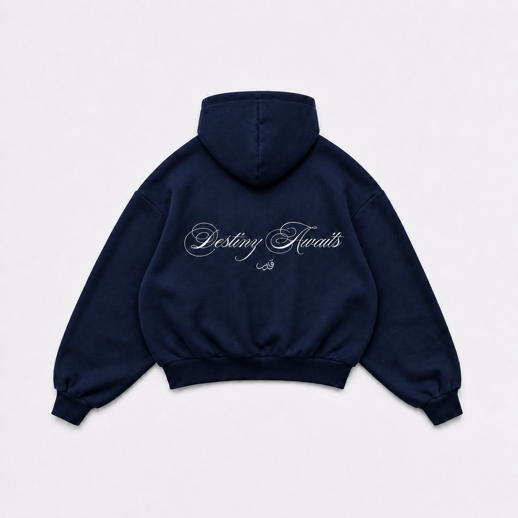 Destiny Hoodie Navy