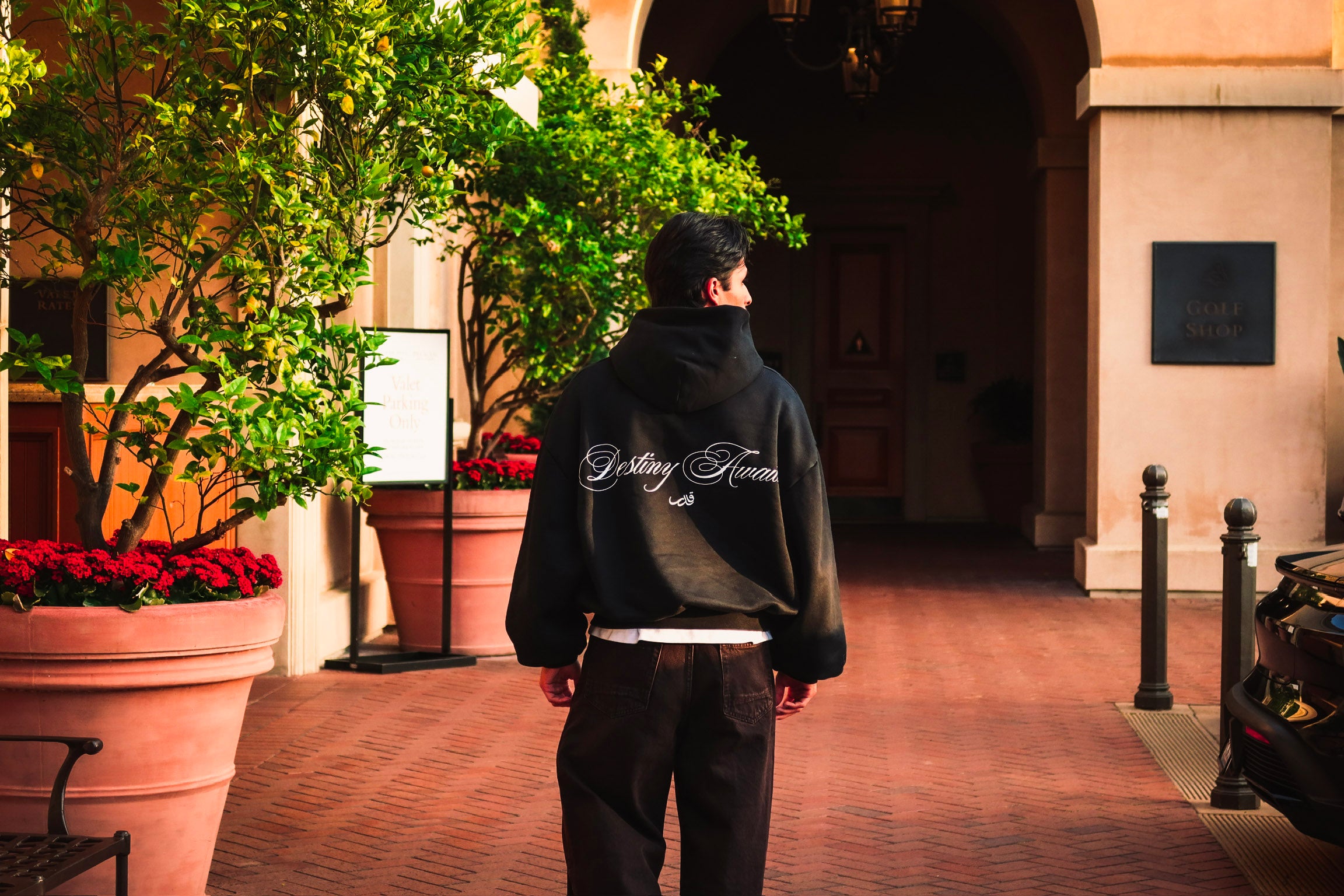 Destiny Hoodie Black