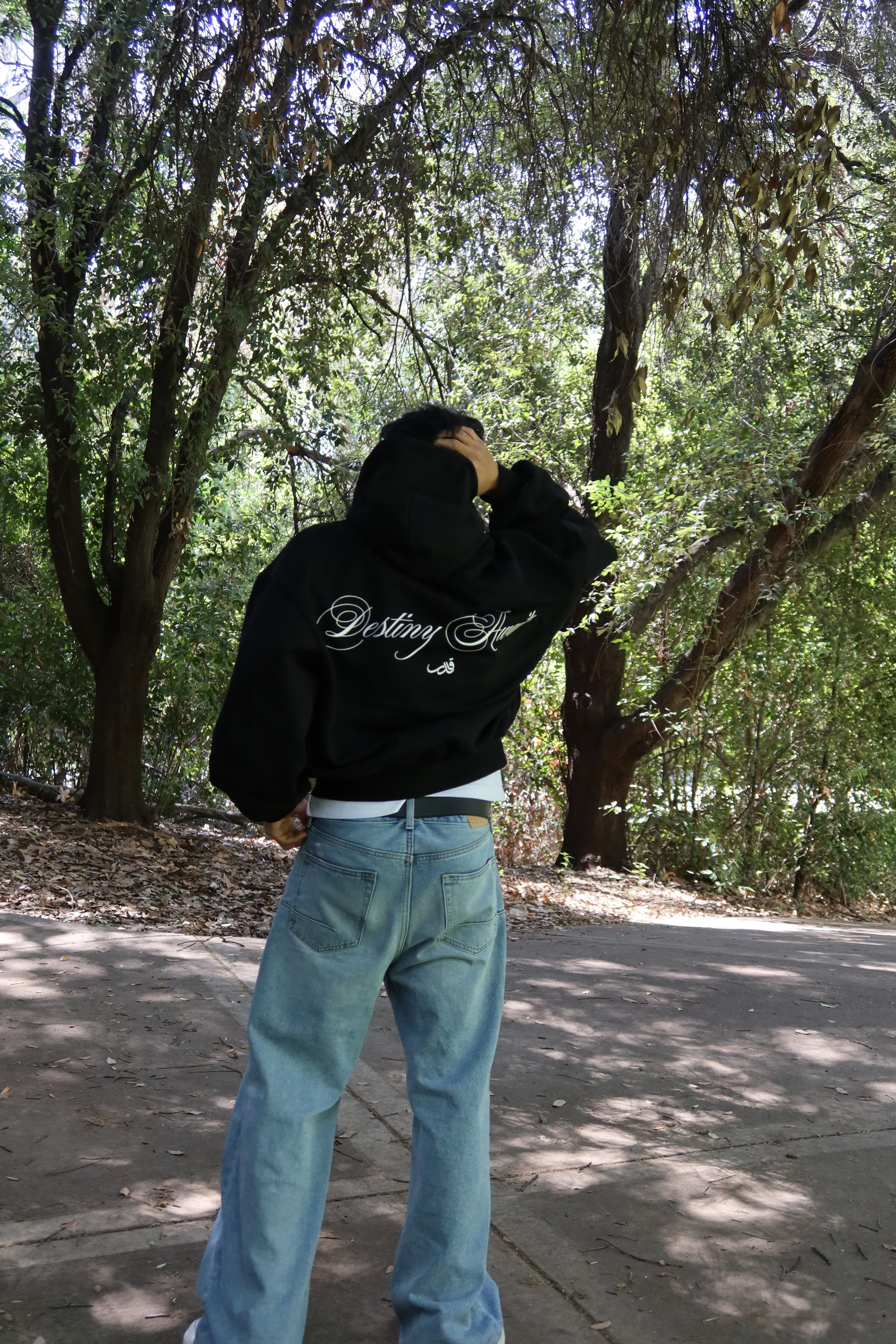 Destiny Hoodie Black
